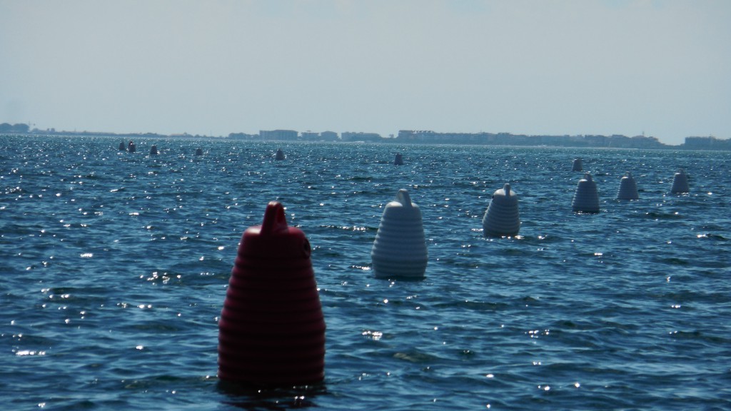 REALIZZAZIONE BARRIERE ARTIFICIALI MARITTIME CON FINALITA’ NATURALISTICHE AL LARGO DELLA COSTA DI BIBIONE